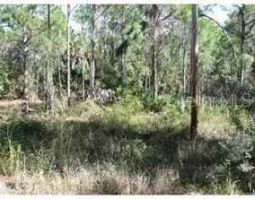 Land For Sale in Punta Gorda, Florida