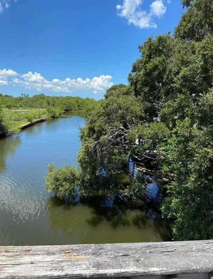 Land For Sale in Tampa, Florida