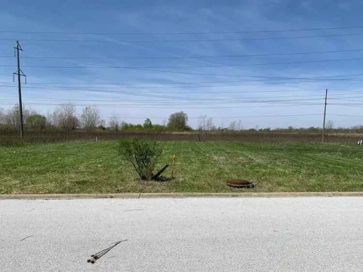 Land For Sale in Lynwood, Illinois