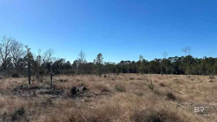 Land For Sale in Summerdale, Alabama