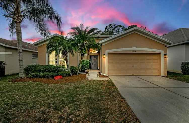 Single-family house For Sale in 19144, Meadow Pine Drive, Tampa, Florida