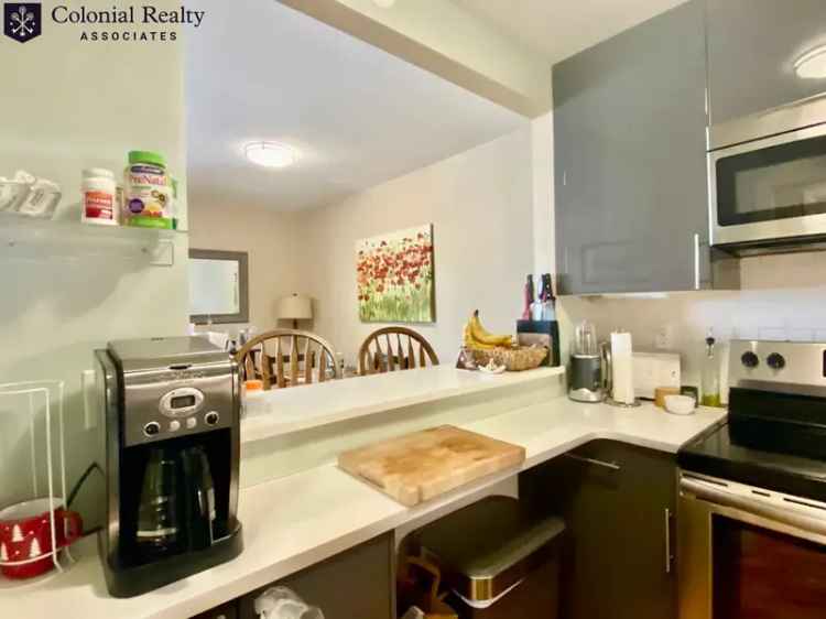 1 Bedroom Apartment Coolidge Corner Brookline MA